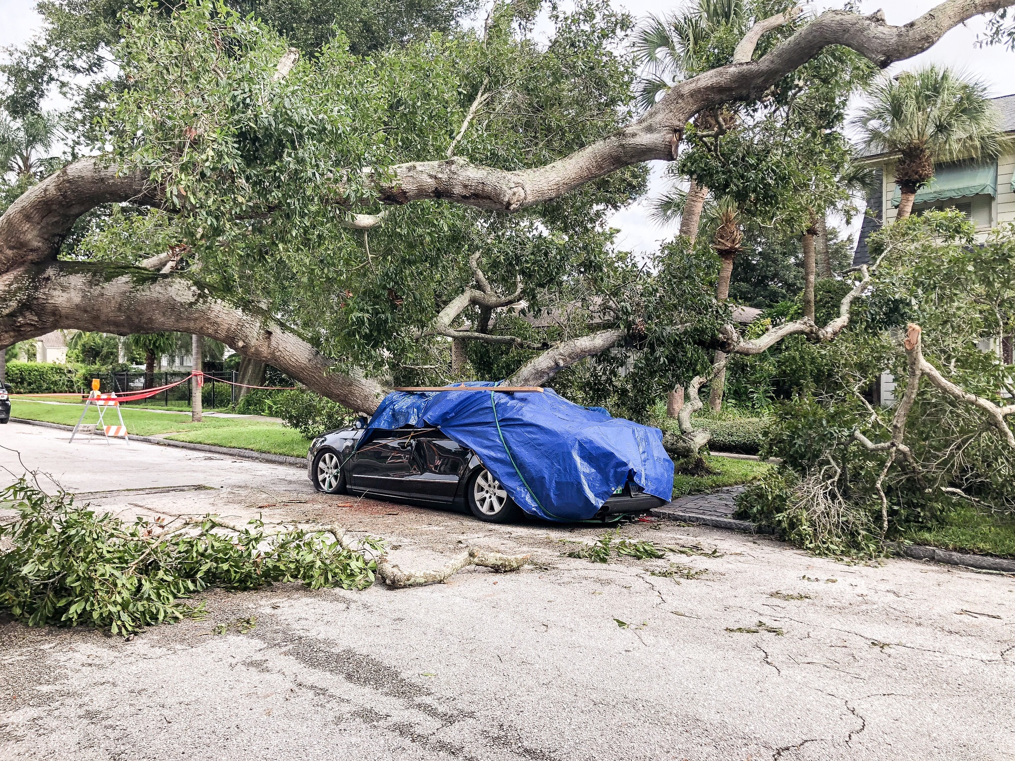 The aftermath of a hurricane with a fallen tree that landed on a car